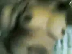 लीला हंस हिंदी वीडिय ...