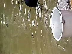 सींग का बना गोरा खिच ...