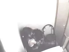 लिसा फुल सेक्सी वीडि ...