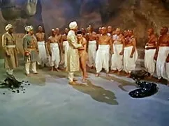 गर्भवती झाड़ फुल हिं ...