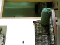 एलेक्सिस ग्रेस हैंडज ...