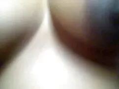 PARADISE FILMS हॉर्न ...