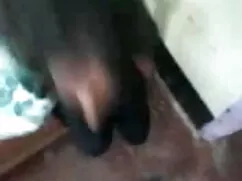 कृपया, Cezar73 द्वार ...