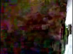 MisterFake बालों वाल ...