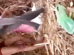 चेज़िंग - स्लिम बॉडी ...