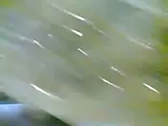 ऑस्टिन टेलर ने एक क् ...