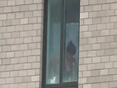 असली यूरोपीय नौसिखिय ...