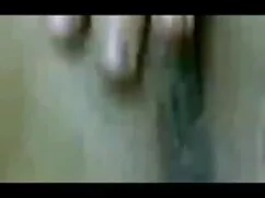 ब्रिटिश परिपक्व ने प ...