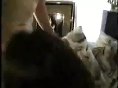 प्यारा लाल हिंदी फुल ...