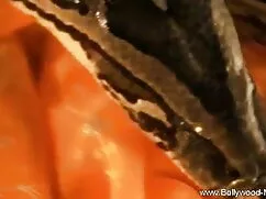 एक कार में शौकिया ब् ...