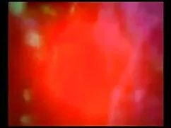 लिपस्टिक समलैंगिक से ...