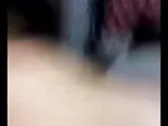 सींग का बना लैटिन हि ...