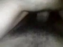 नेल्ली परिपक्व एन्क् ...