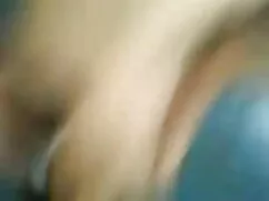 बिल्ली और सेक्सी फिल ...