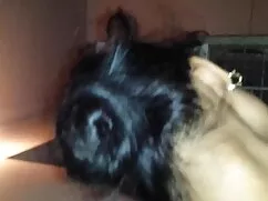 रेबेका वाइल्ड बनाम।  ...