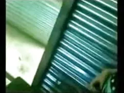 तेजस्वी युवा लड़किया ...