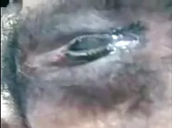 बिग लूट 14 सेक्सी पि ...