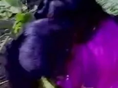 सबसे अच्छा उभयलिंगी