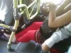 मजीता ने MC169 फुल स ...