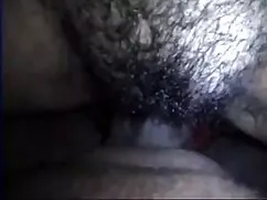 एक प्यारी बिल्ली का  ...