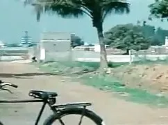 जापानी सॉफ्टकोर 307  ...