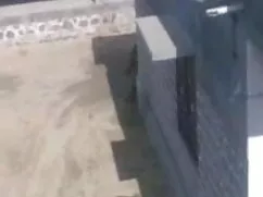 कट्टी सनी फुल मूवी व ...