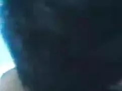 MisterFake एजेंट सेक ...