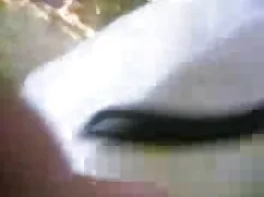 मैंडी फुल सेक्सी वीड ...