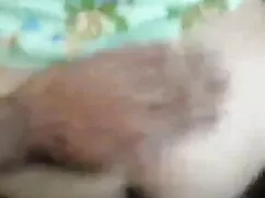 मेसन मार्कोनी - झटका ...