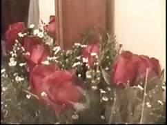 क्रिस्टल स्पष्ट हॉली ...